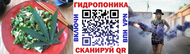 что такое   Щёкино  kraken tor  Печенье с ТГК конопля 